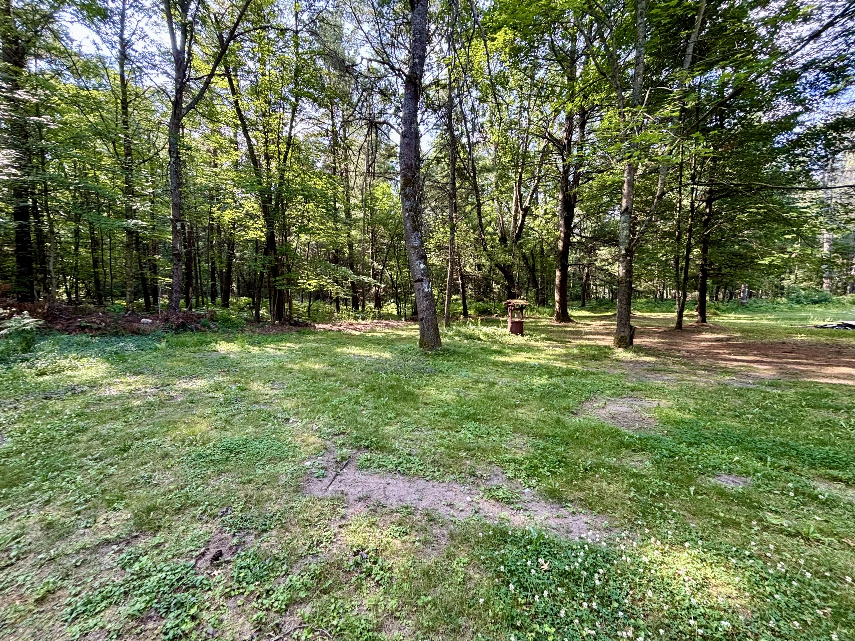 2594 South Forman Road Baldwin, MI 49304 - Photo 24 of 28 Yard