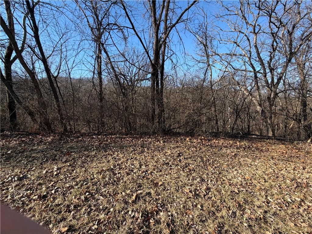 0 High Drive Excelsior Springs, MO 64024 - Photo 2 of 2