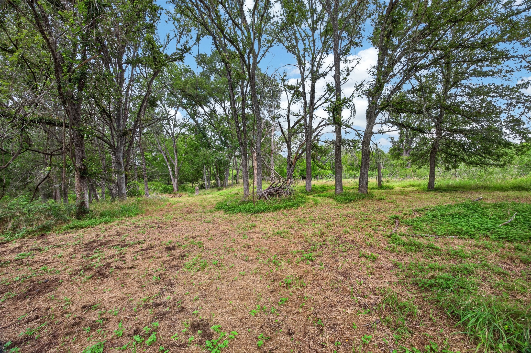 266 Beaver Road Elgin, TX 78621 - Photo 25 of 40 A tranquil clearing amidst mature trees offers a private, natural setting.
