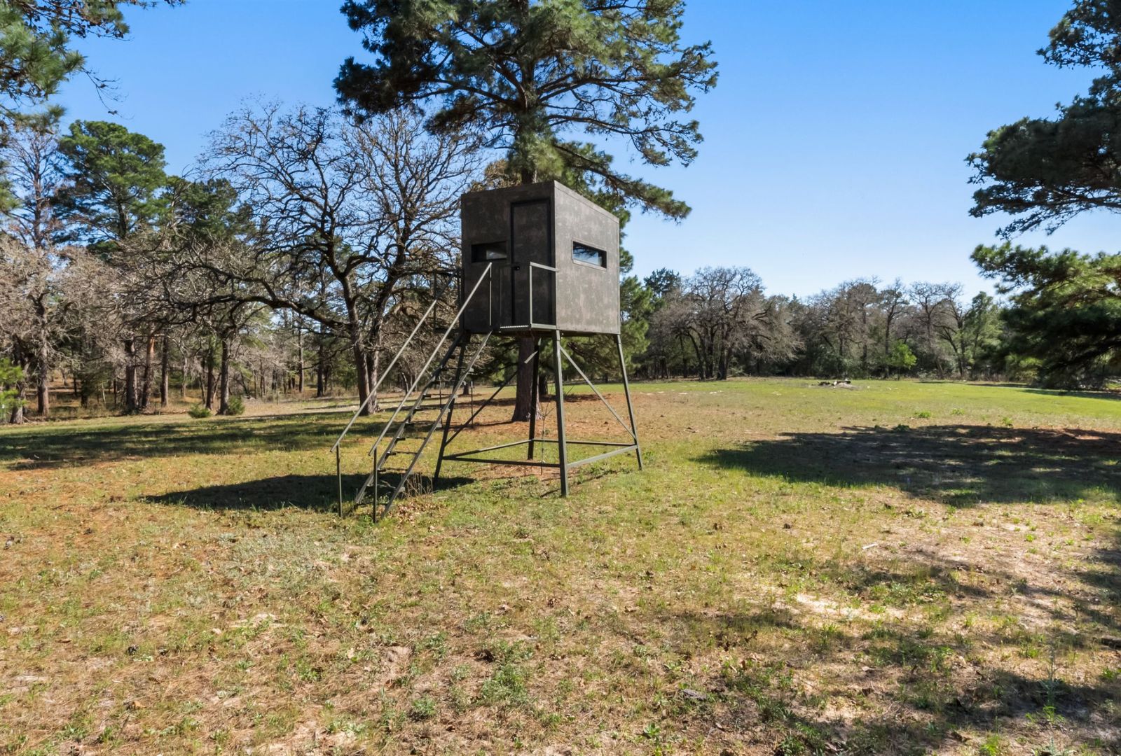 490 John Craft Road Red Rock, TX 78662 - Photo 30 of 40