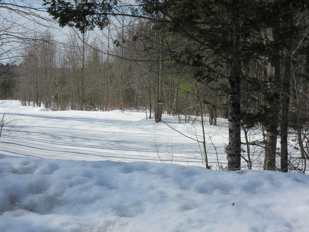 0 Main Road South Passadumkeag, ME 04475 - Photo 1 of 5 Snow covered gravel entrance