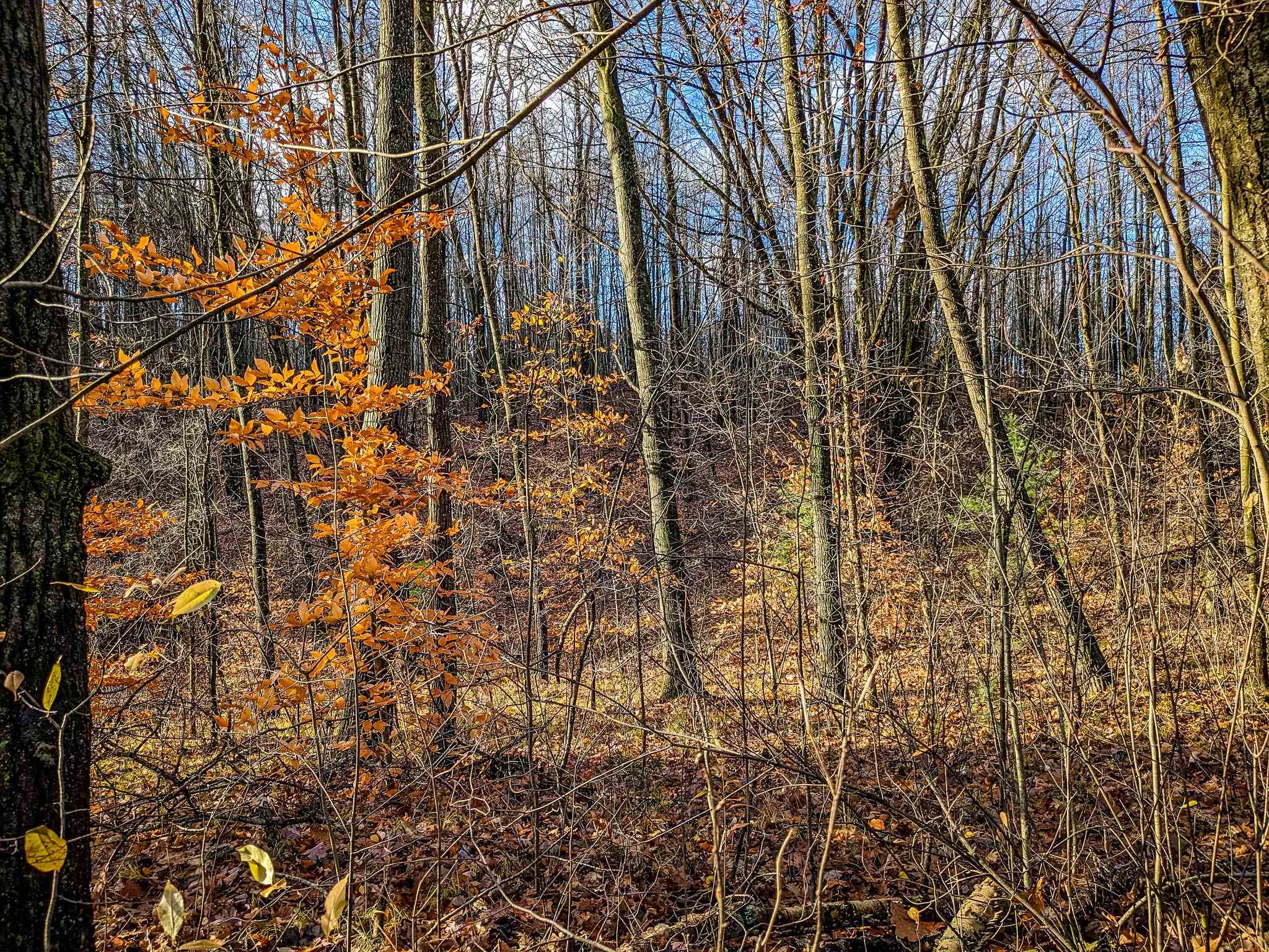 Lot 97 Oak St Lake Lake, MI 48632 - Photo 1 of 3
