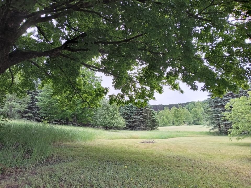 11510 West 16 Road Mesick, MI 49668 - Photo 33 of 34 1904201-33.JPG