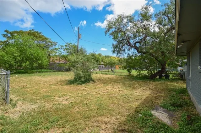 a view of a yard with plants and trees