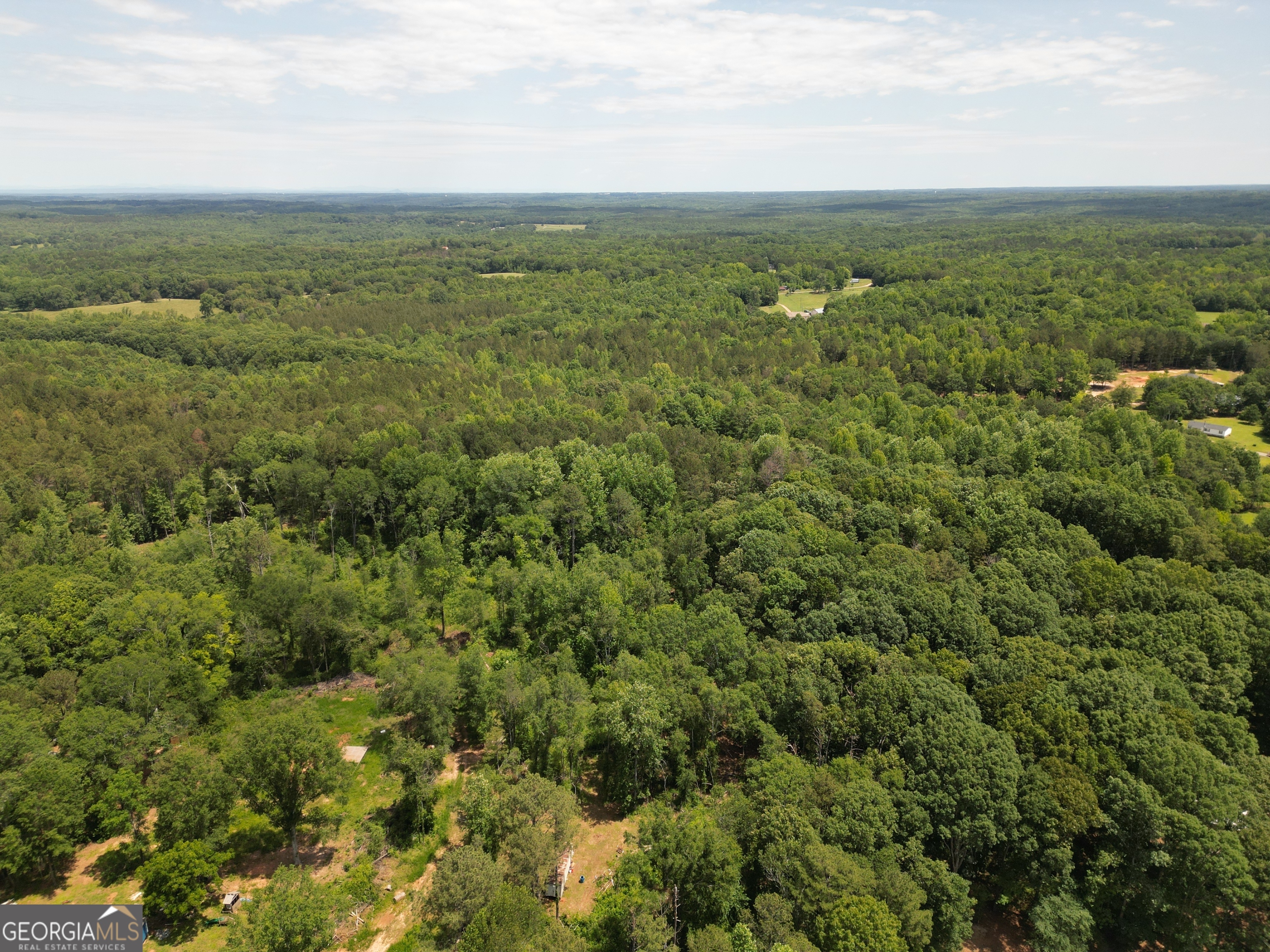 0 Harrison Johnson Road Jefferson, GA 30549 - Photo 8 of 12