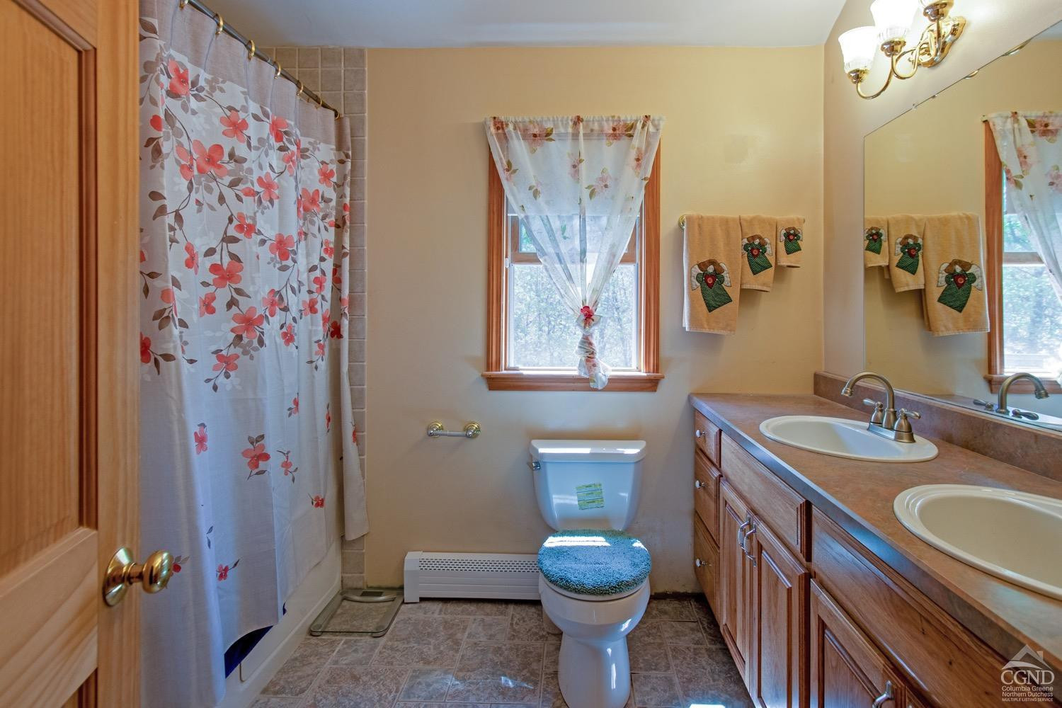 184 Snyderville Road Red Hook, NY 12571 - Photo 11 of 29 a bathroom with a granite countertop toilet sink and mirror