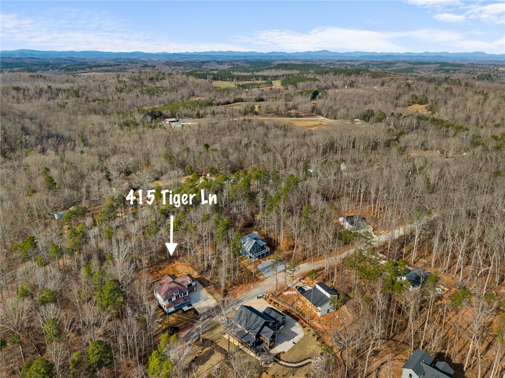 415 Tiger Lane Westminster, SC 29693 - Photo 46 of 50