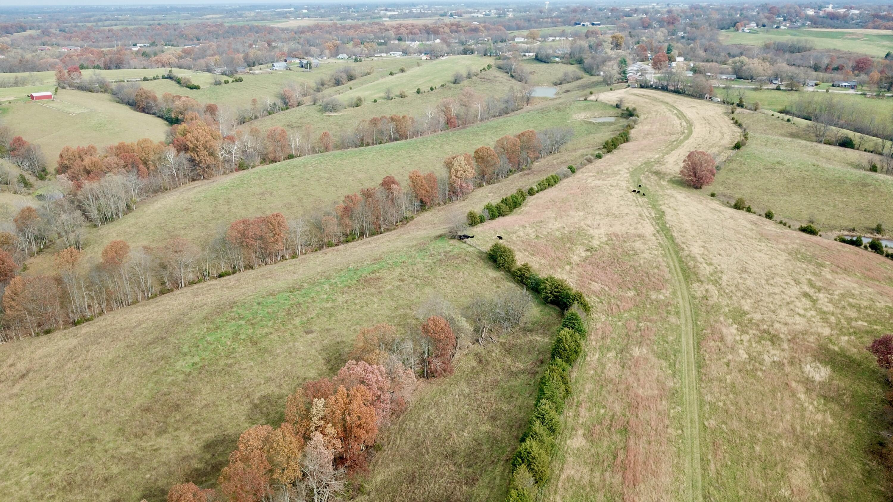 0 Gratz Road Owenton, KY 40359 - Photo 9 of 40