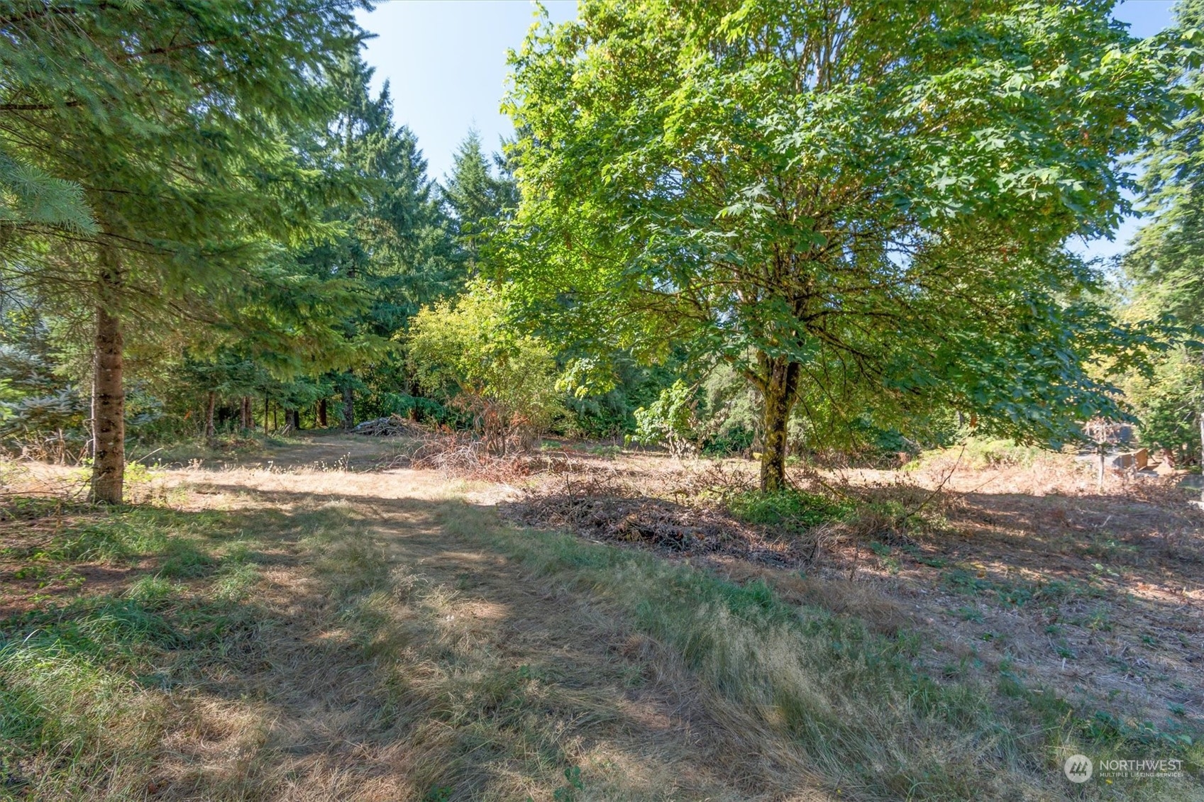 110-165 Rawlins Road Winlock, WA 98596 - Photo 3 of 21 a view of backyard with green space