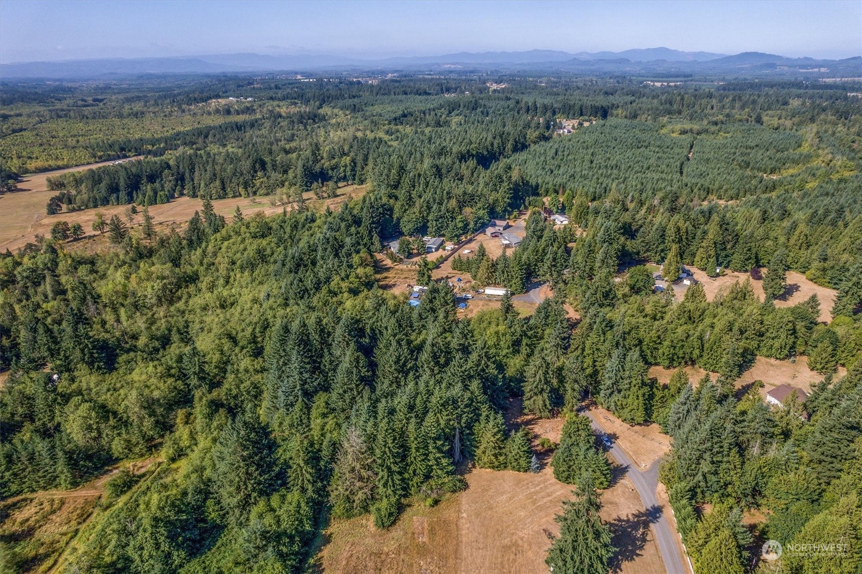 110-165 Rawlins Road Winlock, WA 98596 - Photo 9 of 21 an aerial view of green landscape with trees houses and mountain view
