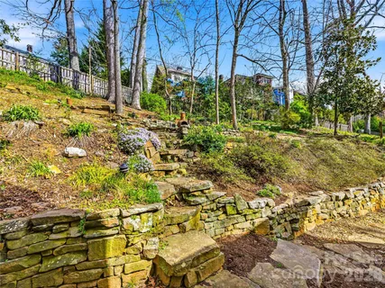 a view of a yard with plants and large trees