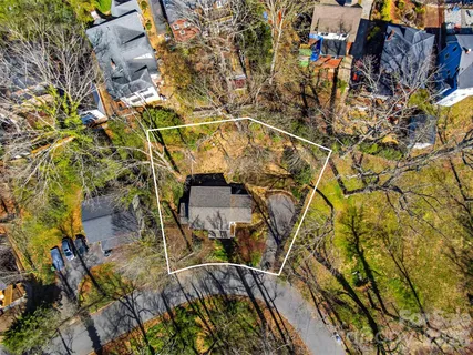 a view of a yard with plants and large trees