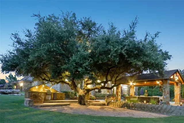 a view of yard with tree s