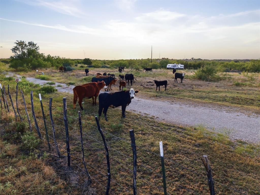 Tbd Story Road Perrin, TX 76486 - Photo 15 of 27 Gallery Image 15