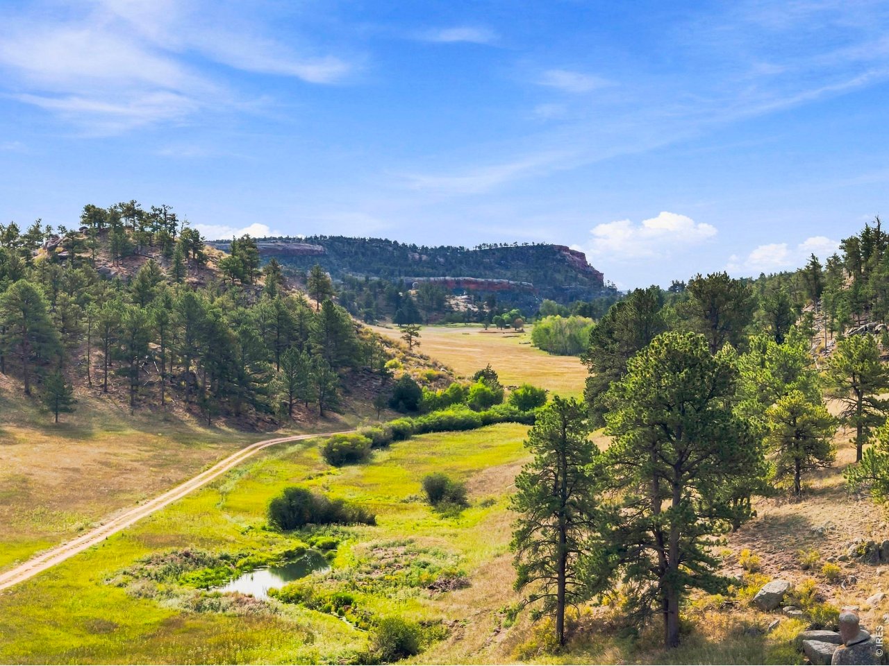 557 Redbluff Road Livermore, CO 80536 - Photo 43 of 50 The creek runs through the valley- keep an eye out for elk