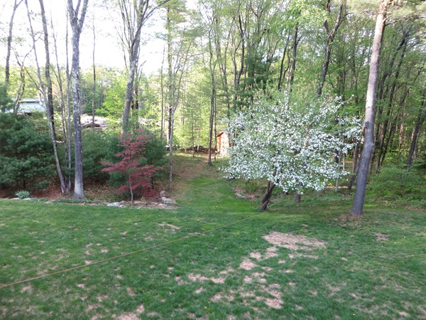 142 Ragged Hill Road Hubbardston, MA 01452 - Photo 21 of 25 Gallery Image 21
