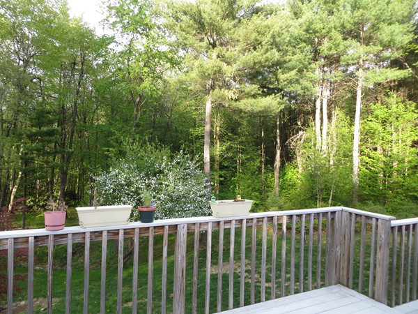 142 Ragged Hill Road Hubbardston, MA 01452 - Photo 22 of 25 Gallery Image 22