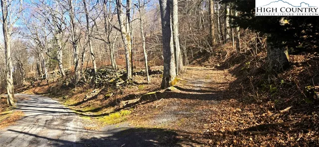 a view of path along with trees