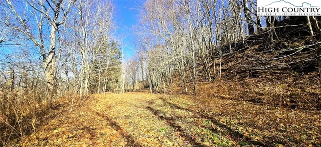 a view of empty room with wall and trees