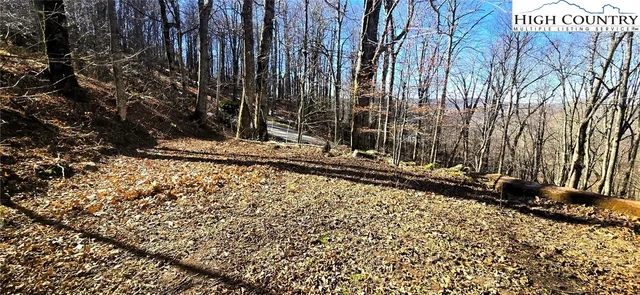 a view of a backyard of the house
