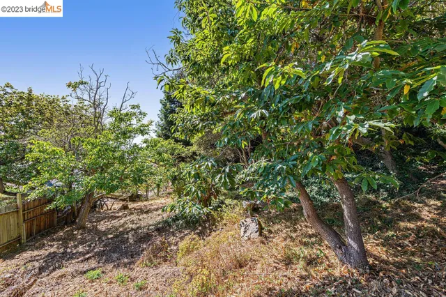 $795,000 | 614 Cragmont Avenue, Berkeley, CA 94708