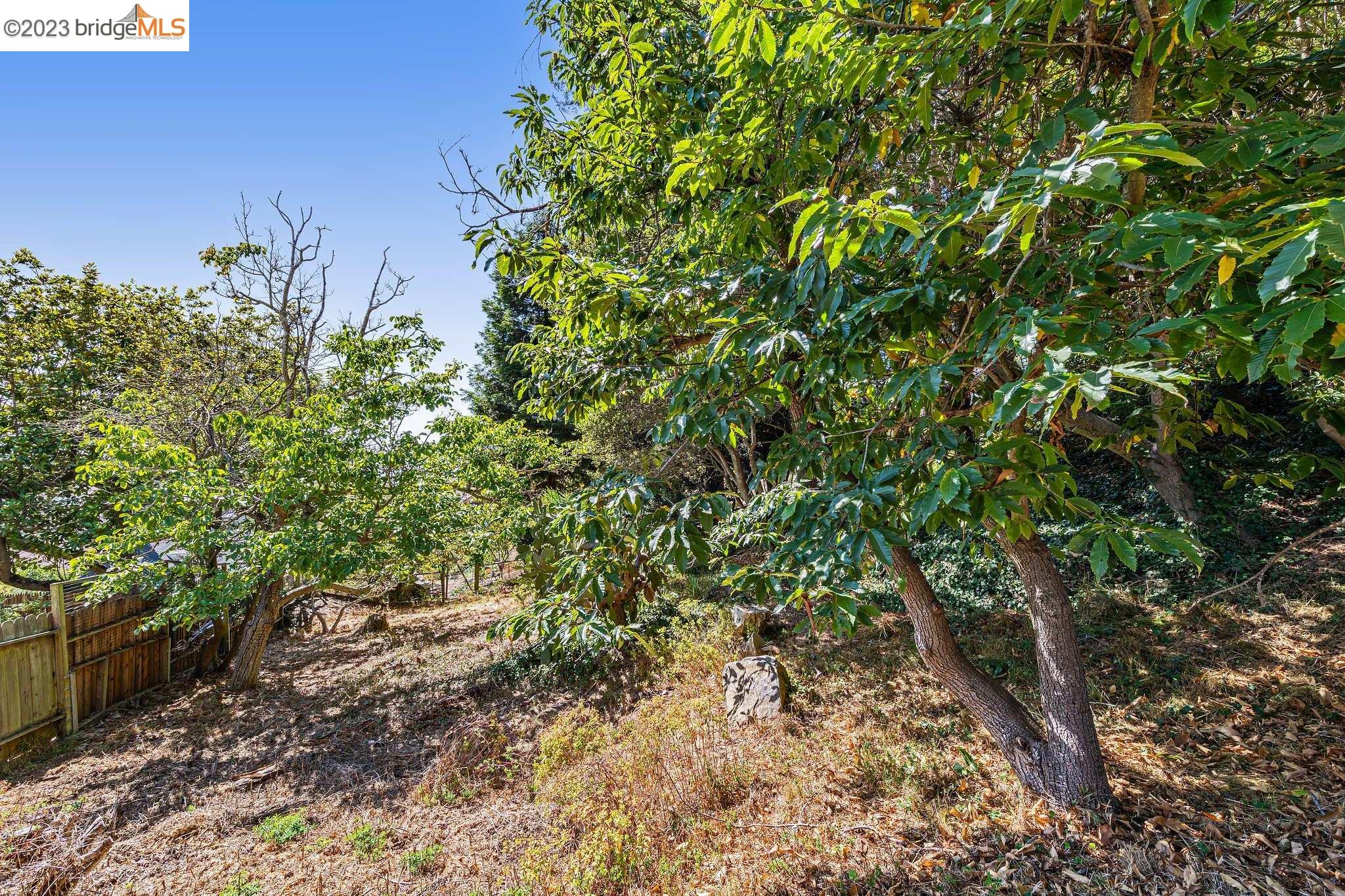 614 Cragmont Avenue Berkeley, CA 94708 - Photo 4 of 11