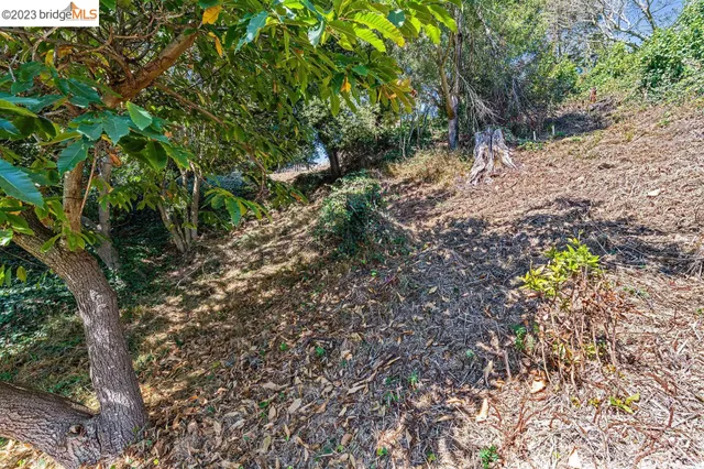 $795,000 | 614 Cragmont Avenue, Berkeley, CA 94708