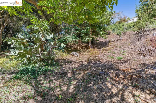 $795,000 | 614 Cragmont Avenue, Berkeley, CA 94708