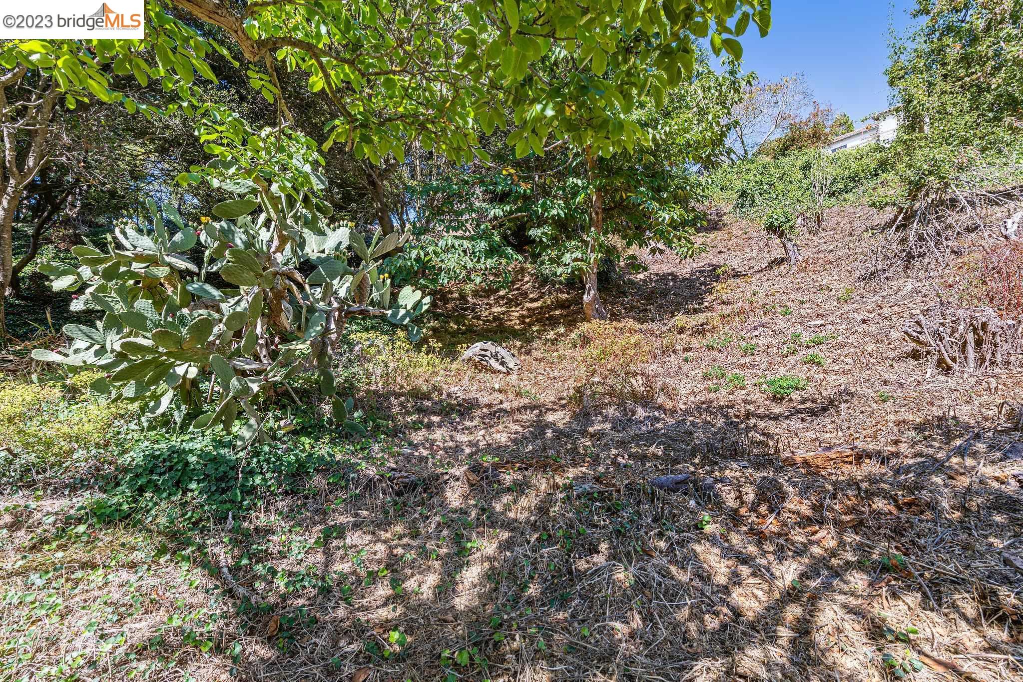 614 Cragmont Avenue Berkeley, CA 94708 - Photo 6 of 11