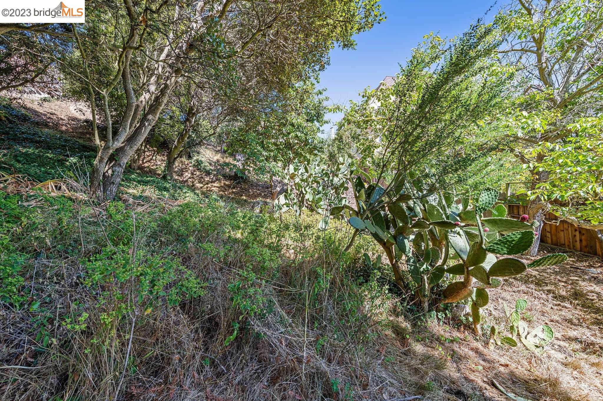 614 Cragmont Avenue Berkeley, CA 94708 - Photo 7 of 11