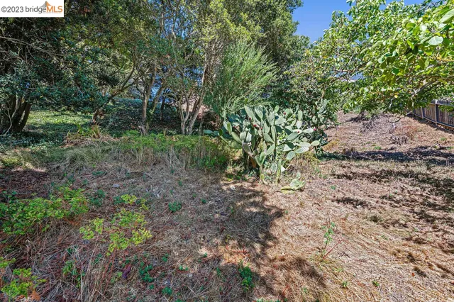 $795,000 | 614 Cragmont Avenue, Berkeley, CA 94708