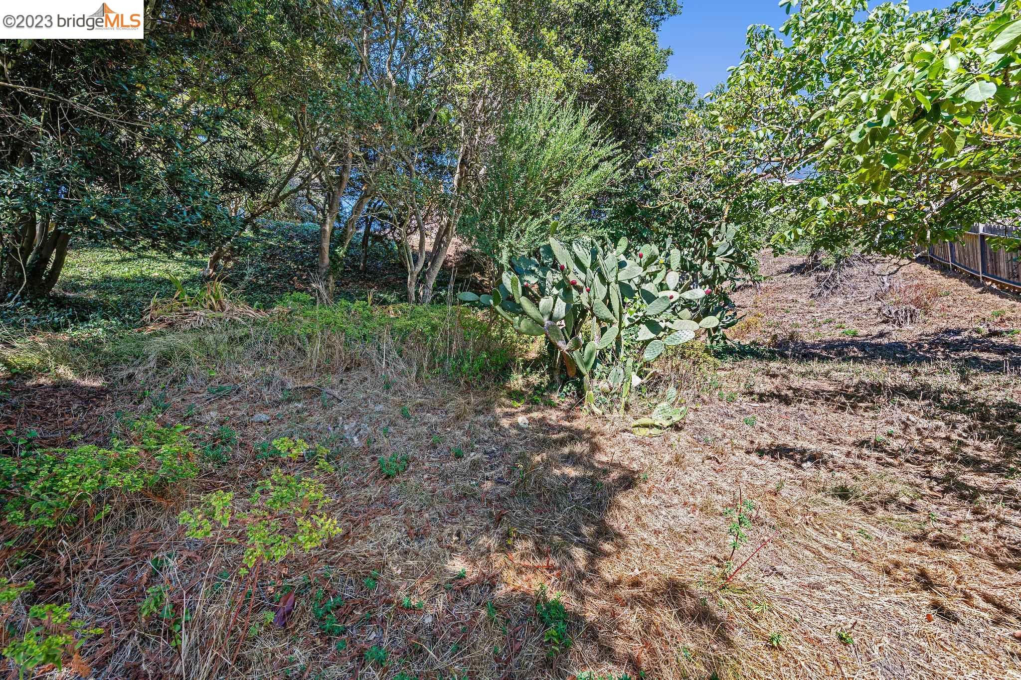 614 Cragmont Avenue Berkeley, CA 94708 - Photo 8 of 11