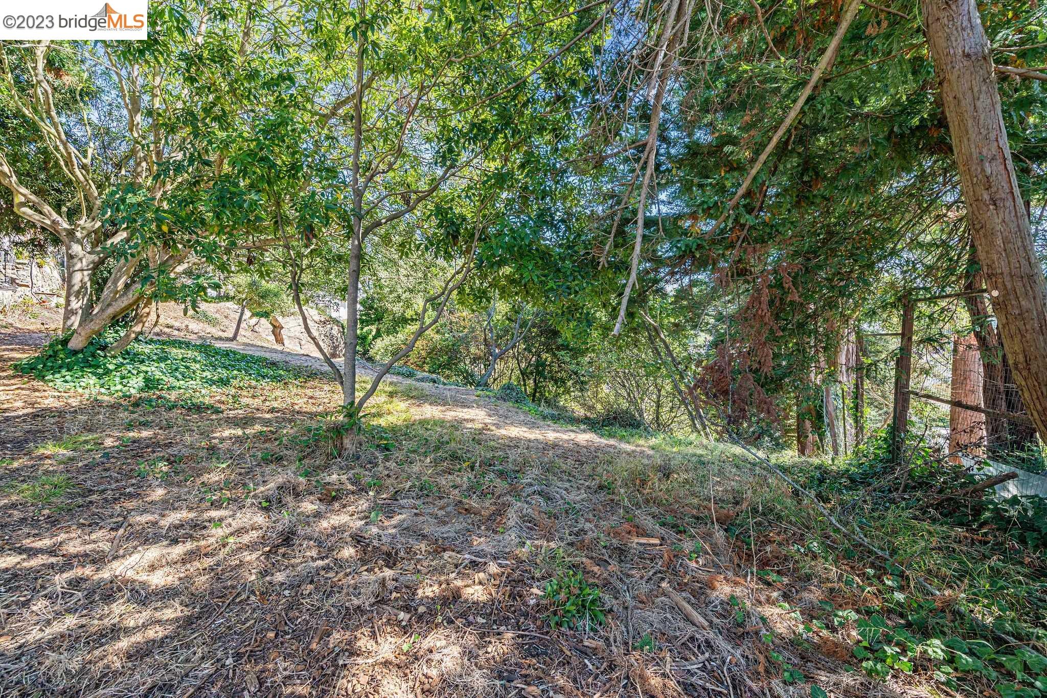 614 Cragmont Avenue Berkeley, CA 94708 - Photo 10 of 11