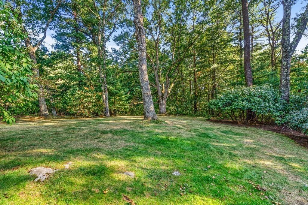 150 Wellesley Street Weston, MA 02493 - Photo 29 of 31 a view of a grassy field with trees in the background