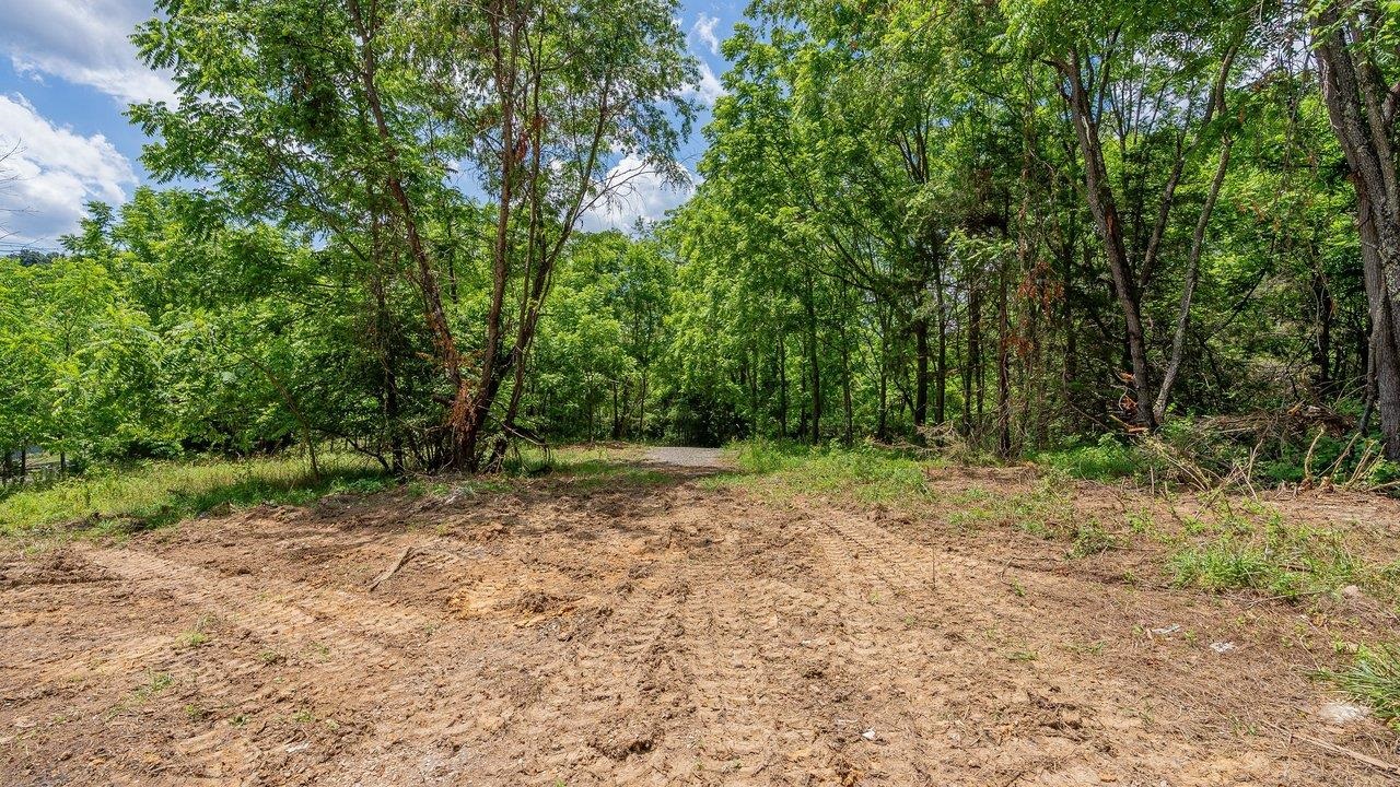 456 Dabneys Road Raphine, VA 24472 - Photo 9 of 24