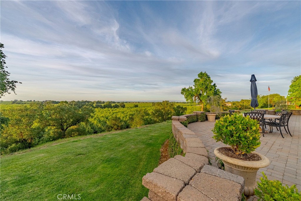 a view of a backyard with plants and a garden