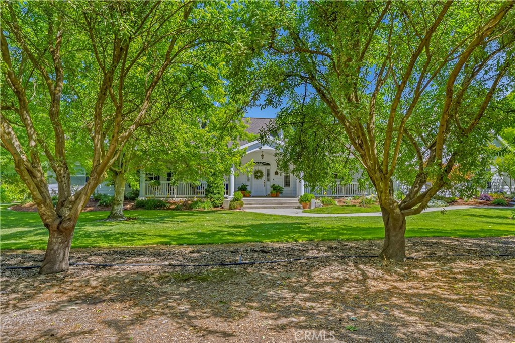 11126 Livingston Cressey Road Livingston, CA 95334 - Photo 3 of 75 Front of home from the almond orchard