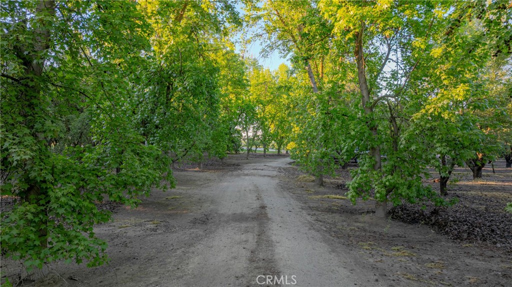 11126 Livingston Cressey Road Livingston, CA 95334 - Photo 8 of 75 a view of a dirt road with trees