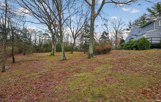 a view of a house with backyard and tree
