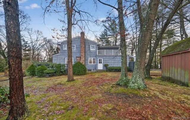 a view of a yard with trees