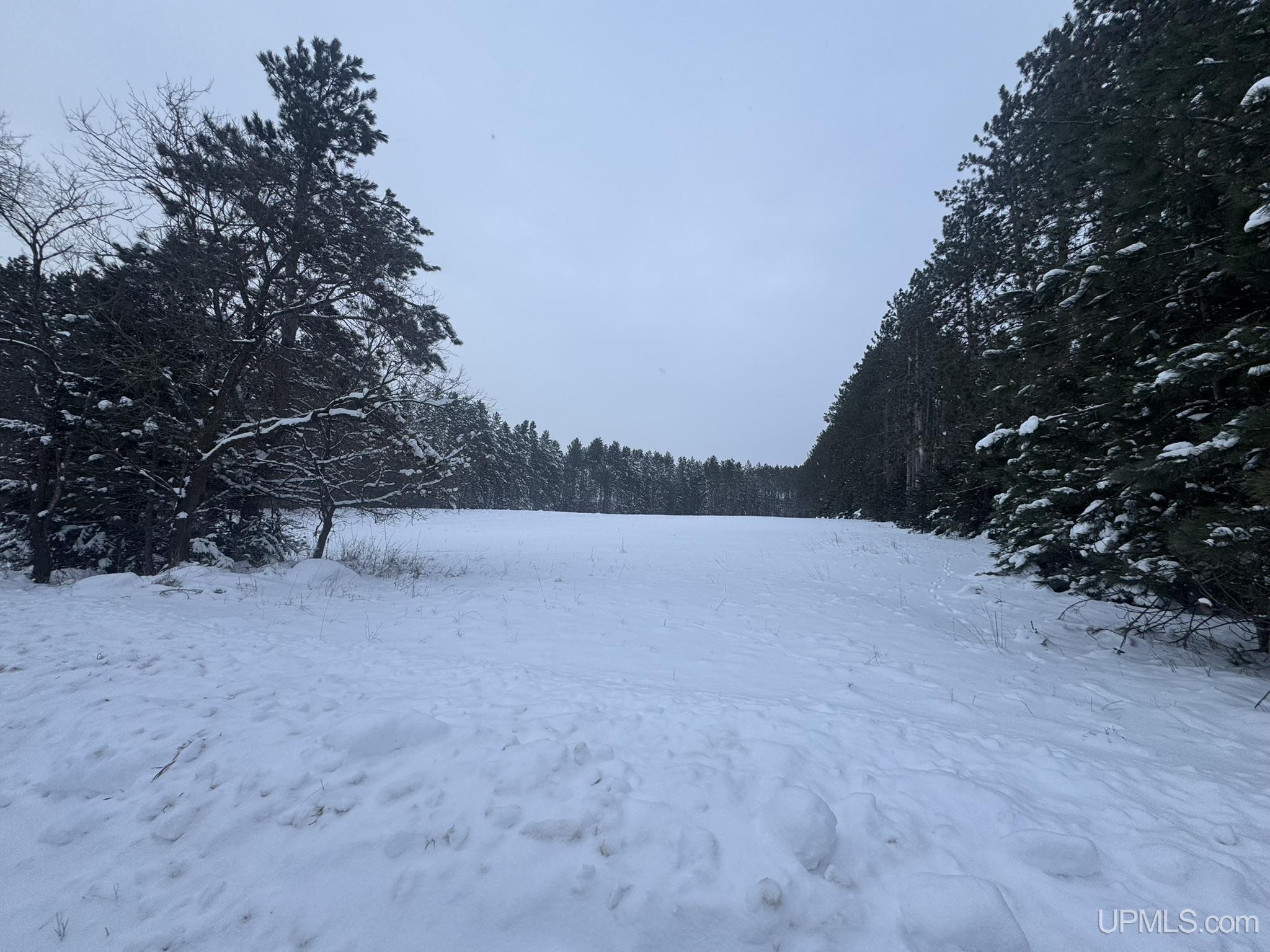 Tbd Treves Farm Road Norway, MI 49870 - Photo 1 of 4 Gallery Image 1