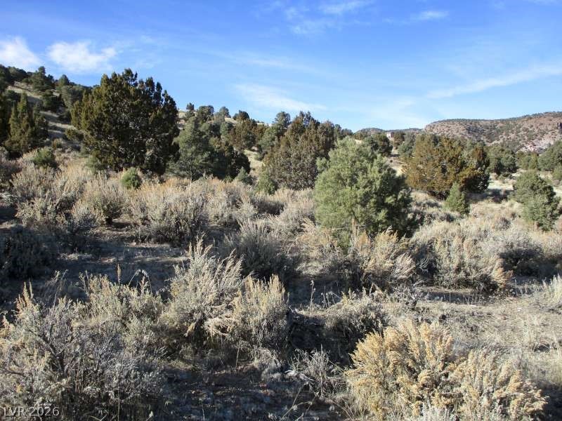 322 (10.012 Ac) Pioche, NV 89043 - Photo 1 of 10 View of local wilderness