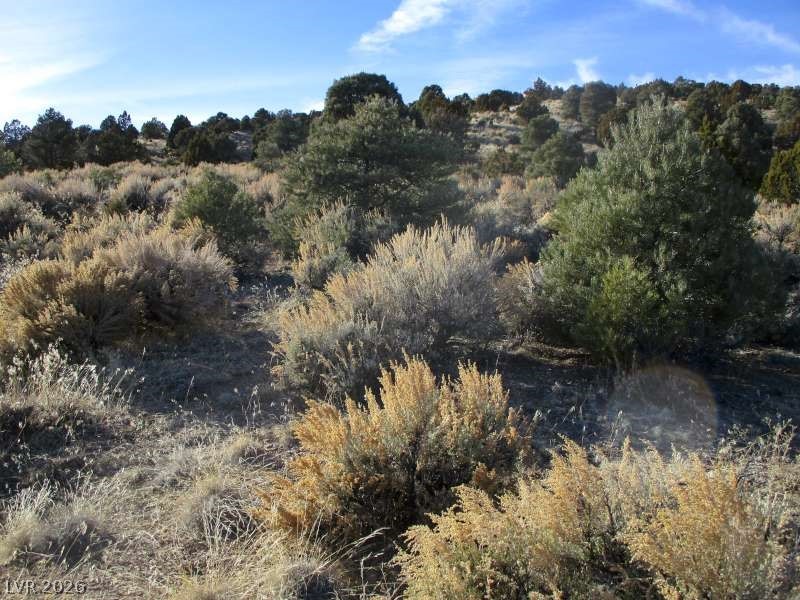 322 (10.012 Ac) Pioche, NV 89043 - Photo 2 of 10 View of local wilderness
