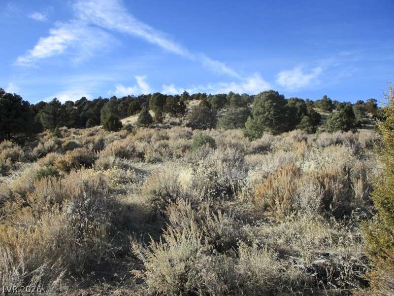 322 (10.012 Ac) Pioche, NV 89043 - Photo 3 of 10 View of nature