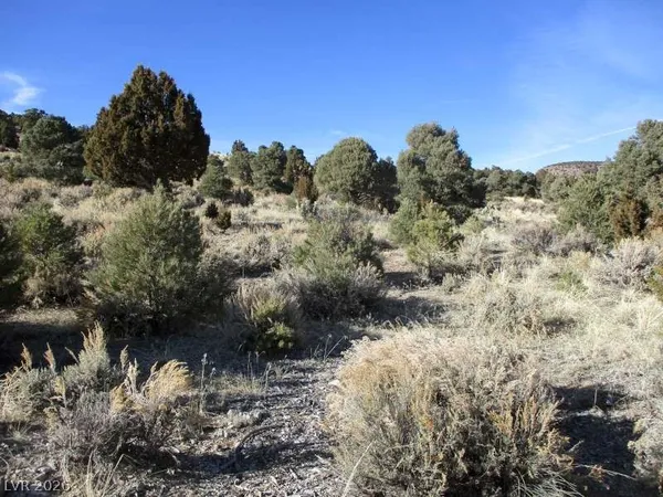 $250,250 | 322 (10.012 Ac), Pioche, NV 89043
