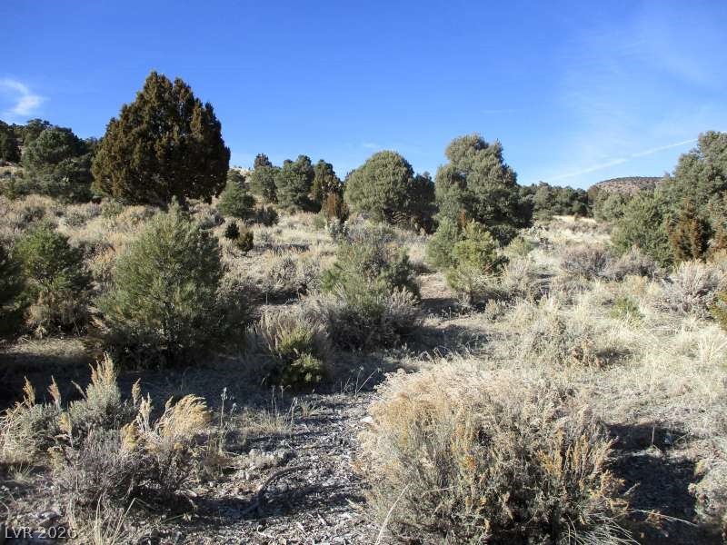 322 (10.012 Ac) Pioche, NV 89043 - Photo 4 of 10 View of nature