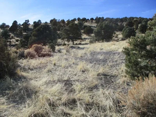 $250,250 | 322 (10.012 Ac), Pioche, NV 89043