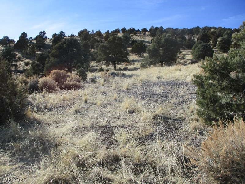 322 (10.012 Ac) Pioche, NV 89043 - Photo 5 of 10 View of undeveloped land featuring rural landscape