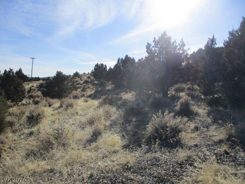 322 (10.012 Ac) Pioche, NV 89043 - Photo 6 of 10 View of nature