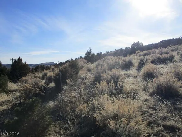 $250,250 | 322 (10.012 Ac), Pioche, NV 89043